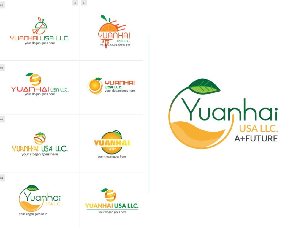 Logo Design with Different Options